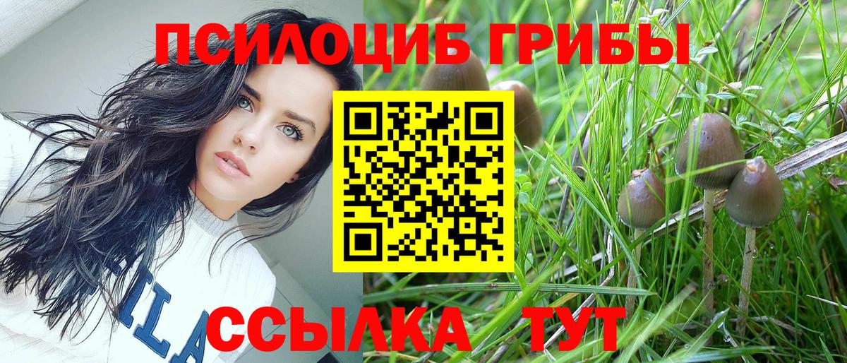 наркота  Вход с VPN  Лесосибирск  Псилоцибиновые грибы прущие грибы 